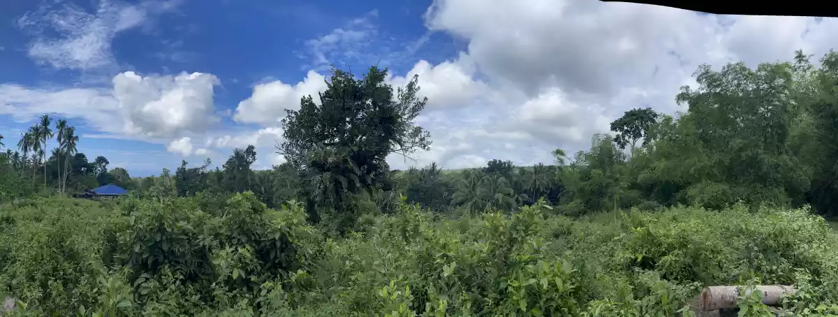 For Sale Agricultural Lot in Panubtuban, Dauin — 7,130 sqm