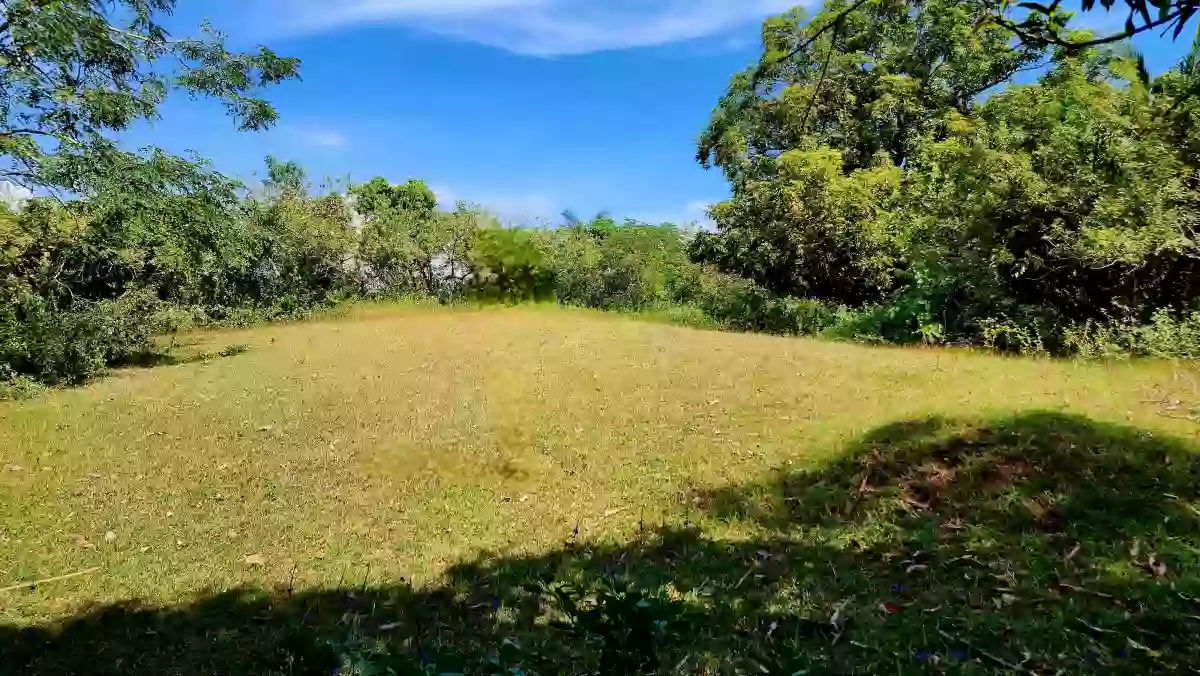For Sale: 2-Hectare Ocean-View Property – Ideal Investment