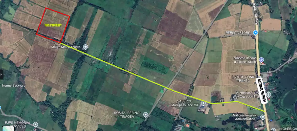 For Sale: 10-hectare Rice Land in Trento, Agusan del Sur — Agricultural Lot in Poblacion, Trento, Agusan del Sur — Photo 6