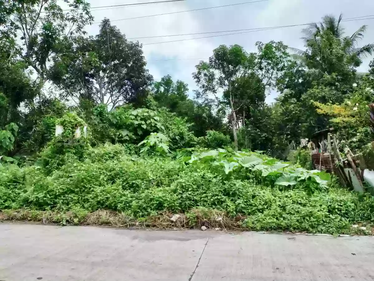For Sale: Residential Lot in Pagalungan, Polomolok — 500 sqm — Residential Lot in Pagalungan, Polomolok, South Cotabato — Photo 3