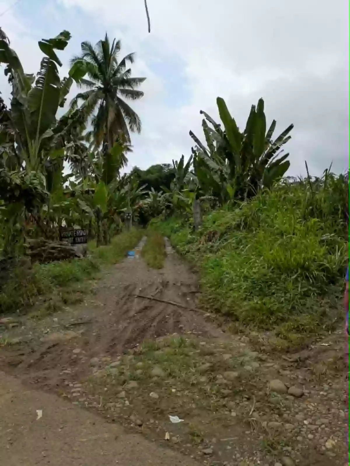 For Sale: Agricultural Lot in Wines, Davao City — 4,100 sqm — Agricultural Lot in Davao City, Davao del Sur, 8000 — Photo 2
