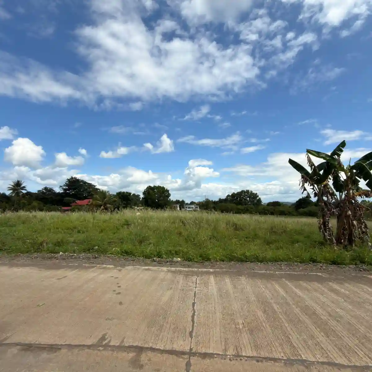 For Sale: Residential Lot in Tankulan (Pob.), Manolo Fortich — 300 sqm