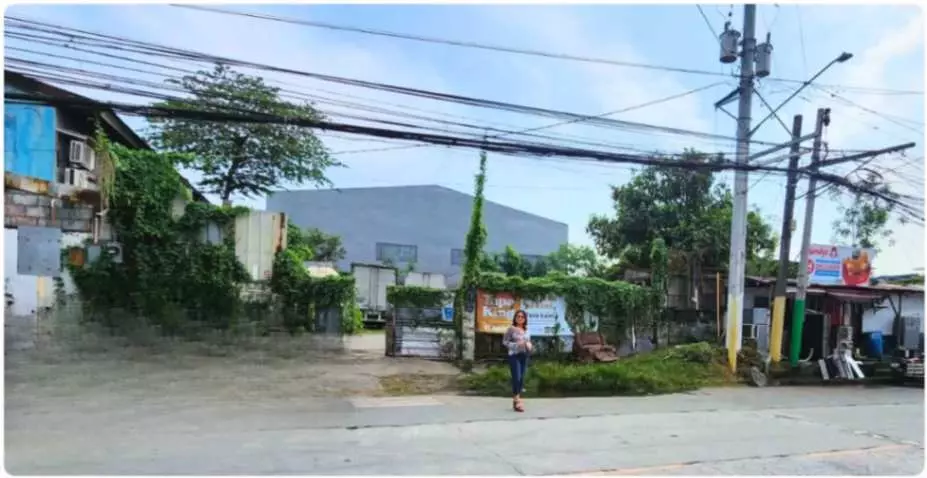 For Sale: Commercial Lot along Filipinas Ave. – Prime Road Frontage - photo 3