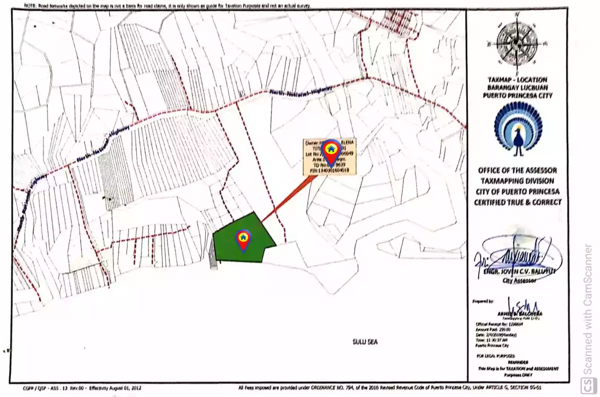 For Sale: Beach Lot in Lucbuan, Puerto Princesa City — 195329 sqm — Beach Lot in Puerto Princesa City, Palawan, 5300 — Photo 5