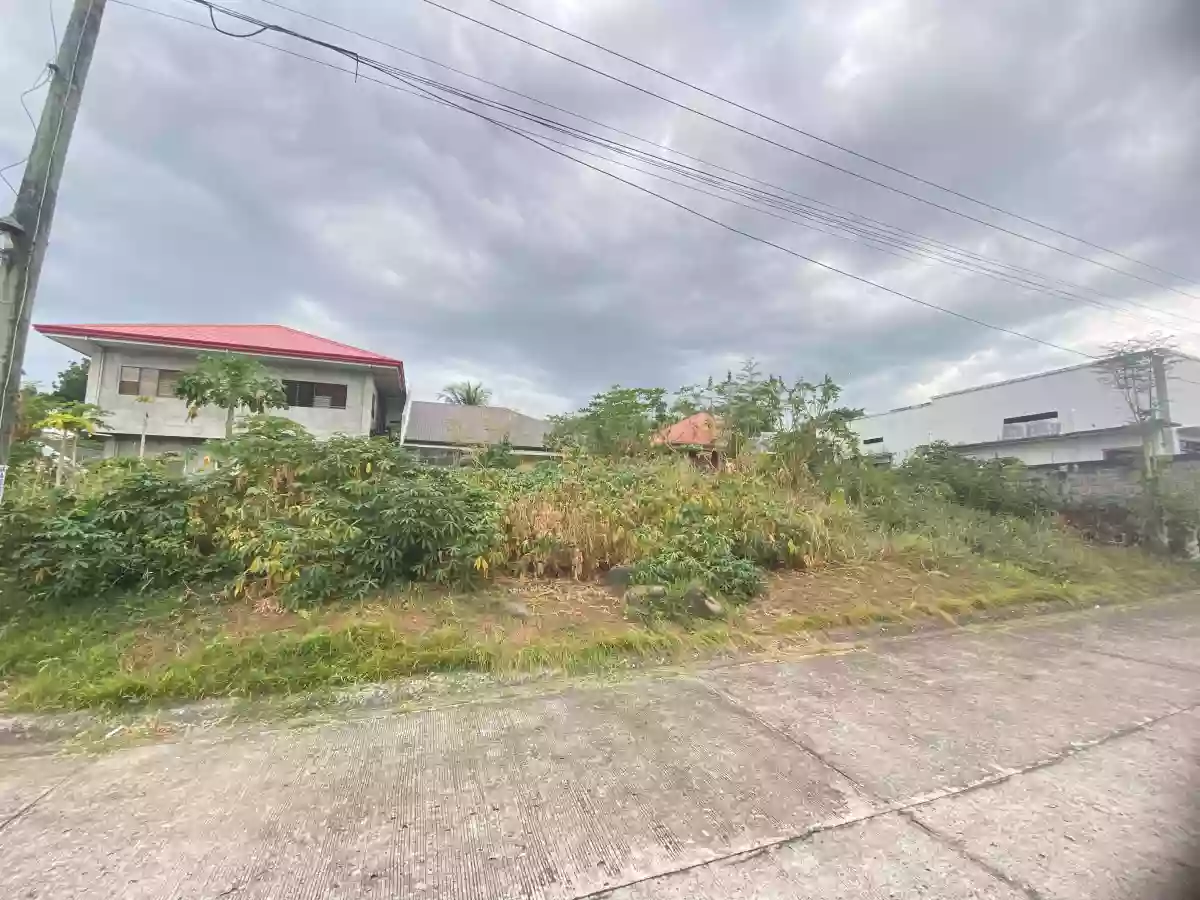 For Sale: Residential Lot in Candau-ay, Dumaguete City — 160 sqm — Residential Lot in Dumaguete City, Negros Oriental, 6200 — Photo 5