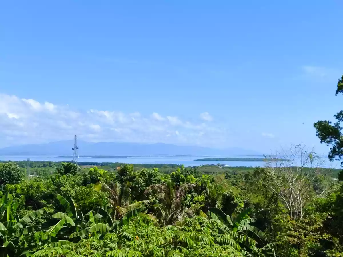 FOR SALE: 1,736 sqm Residential Lot in Santa Lourdes, Puerto Princesa City — Residential Lot in Puerto Princesa City, Palawan, 5300 — Photo 5