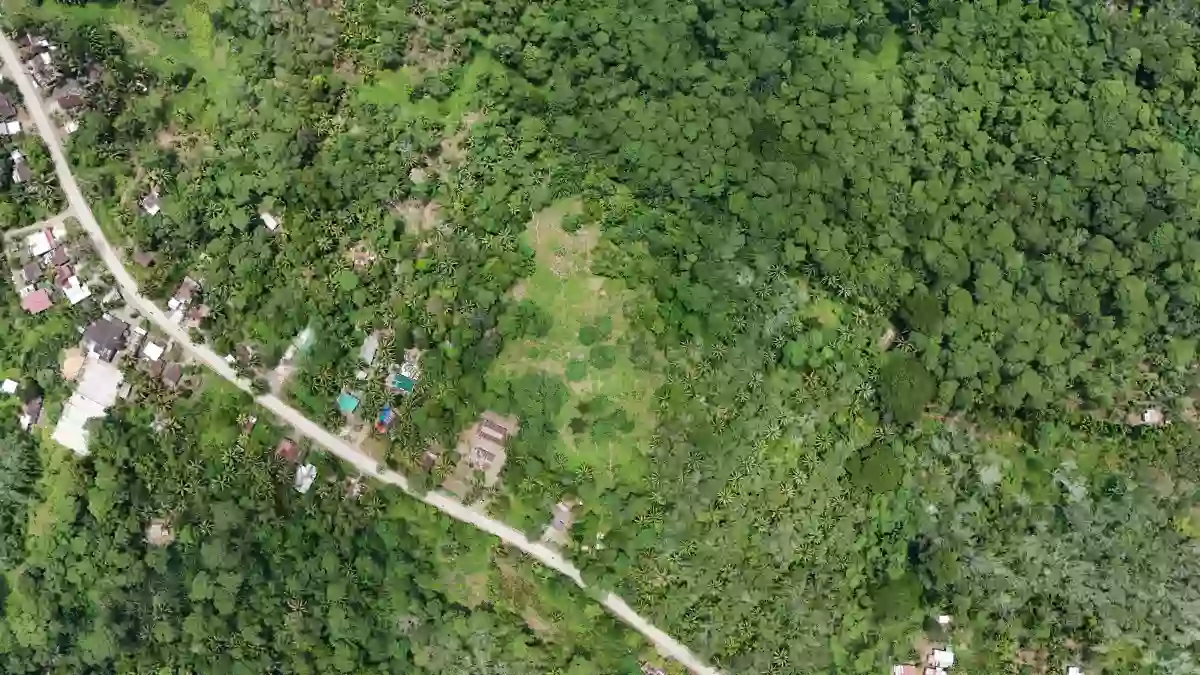 For Sale: Agricultural Lot in Marcelina, Bayugan City — 19550 sqm — Agricultural Lot in Bayugan City, Agusan del Sur, 8502 — Photo 5