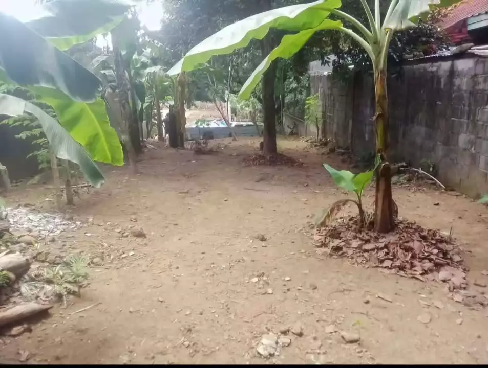 For Sale: Residential Lot in Pasong Tamo, Quezon City — 200 sqm — Residential Lot in Quezon City, Metro Manila, 1101 — Photo 7