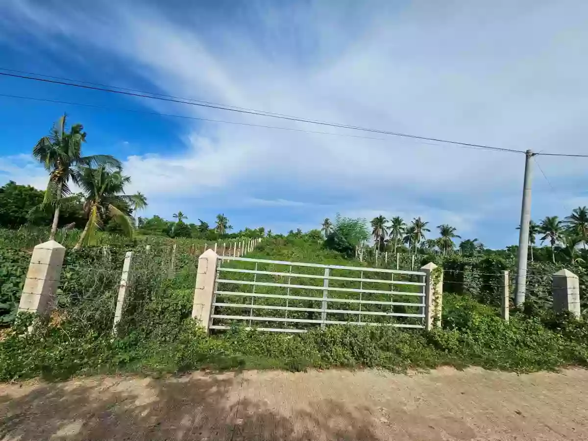 For Sale: Residential Lot in Sinai, Laguindingan — 500 sqm — Residential Lot in Laguidingan, Misamis Oriental, 9019 — Photo 5