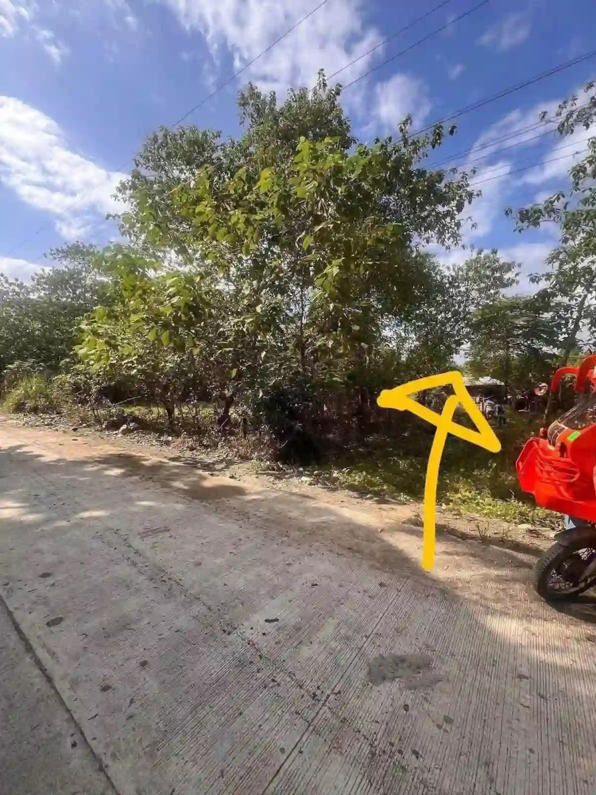 For Sale: Residential Lot Near Butuan City — 118 sqm in Sumilihon — Residential Lot in Butuan City, Agusan del Norte, 8600 — Photo 4