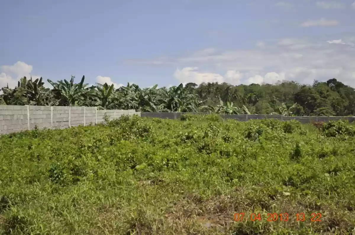 Rush Sale: 2000 sqm Agricultural Lot in Indangan, Davao City — Agricultural Lot in Indangan, Davao City, Davao del Sur — Photo 2