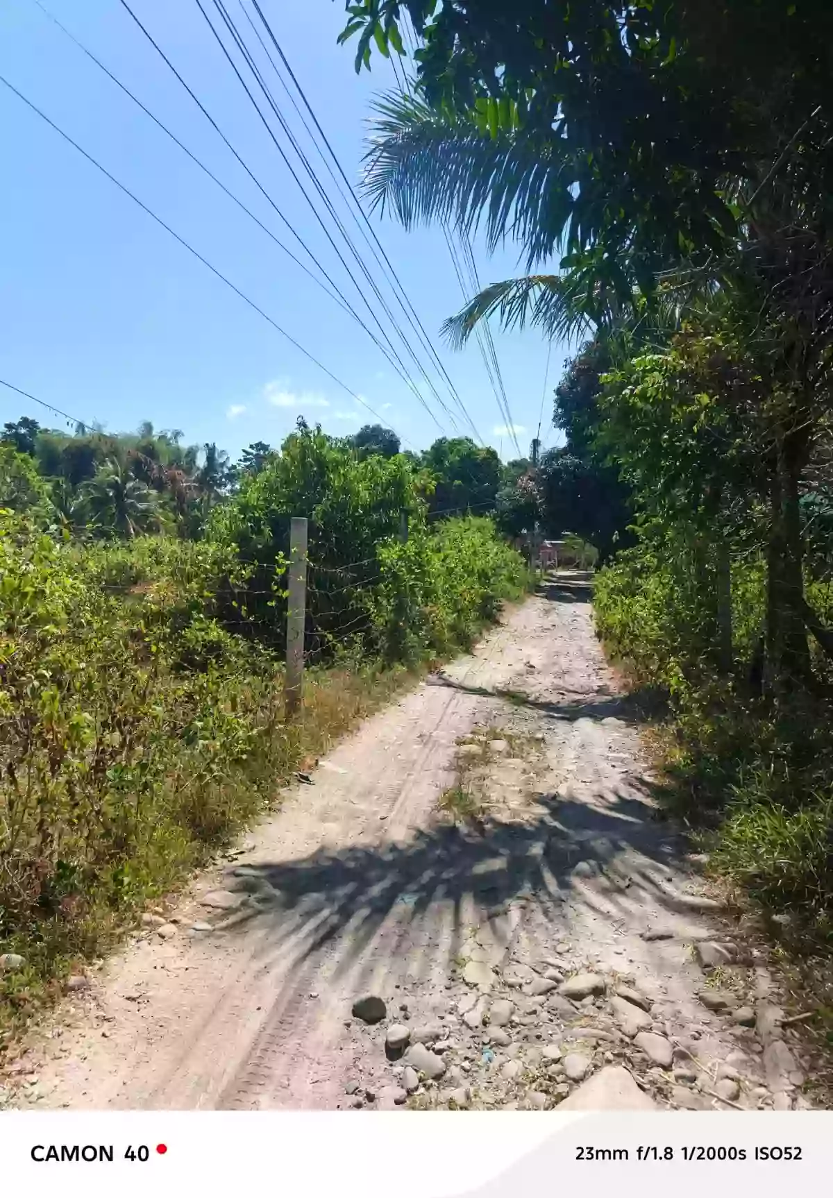 For Sale: Magatas Residential Lot in Sibulan, Negros Oriental — 3058 sqm — Residential Lot in Sibulan, Negros Oriental, 6201 — Photo 3