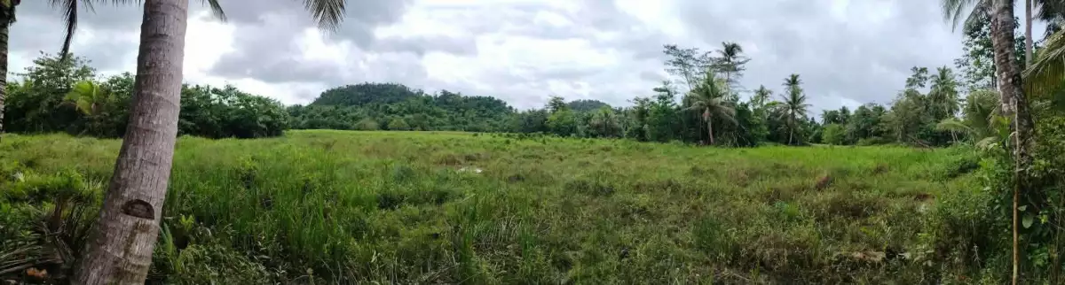 For Sale: Agricultural Lot in San Jose (Pob.), Del Carmen — 81,445 sqm — Agricultural Lot in Del Carmen, Surigao del Norte, 8418 — Photo 3