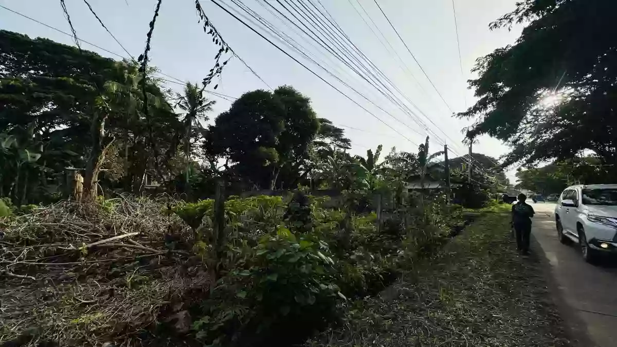 For Sale: Residential Lot in Bancao-bancao, Puerto Princesa City — 1,663.40 sqm — Residential Lot in Bancao-bancao, Puerto Princesa City, Palawan — Photo 5