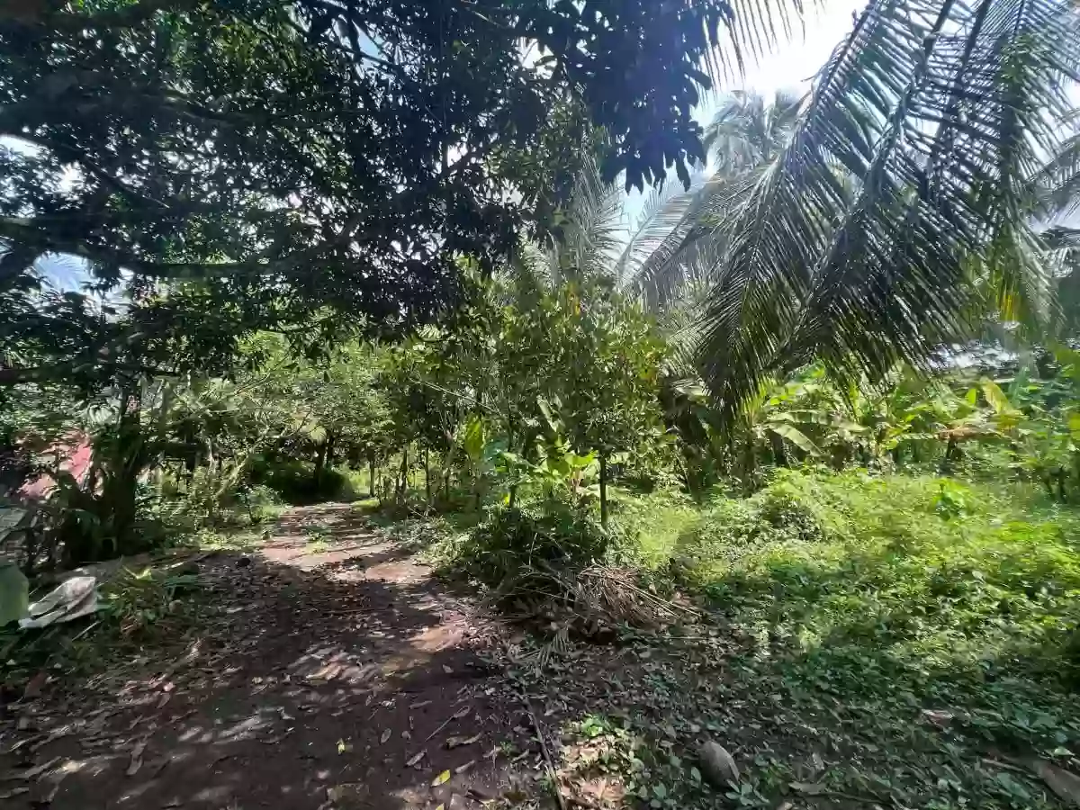 For Sale: Residential Lot in Lucsuhin, Silang, Cavite — 30,500 sqm — Residential Lot in Silang, Cavite, 4118 — Photo 2