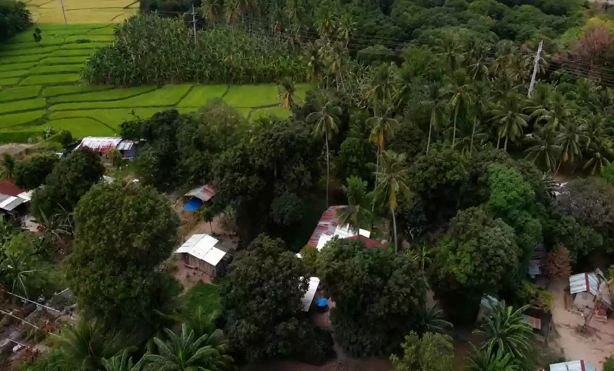 For Sale: Agricultural Lot in Matti, Digos — 40000 sqm along road — Agricultural Lot in Digos, Davao del Sur, 8002 — Photo 7