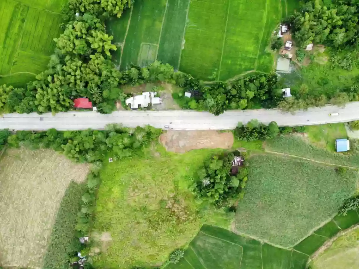 43,793 SQM Agricultural Lot For Sale Near Passi City | Along Road in Dueñas, Iloilo