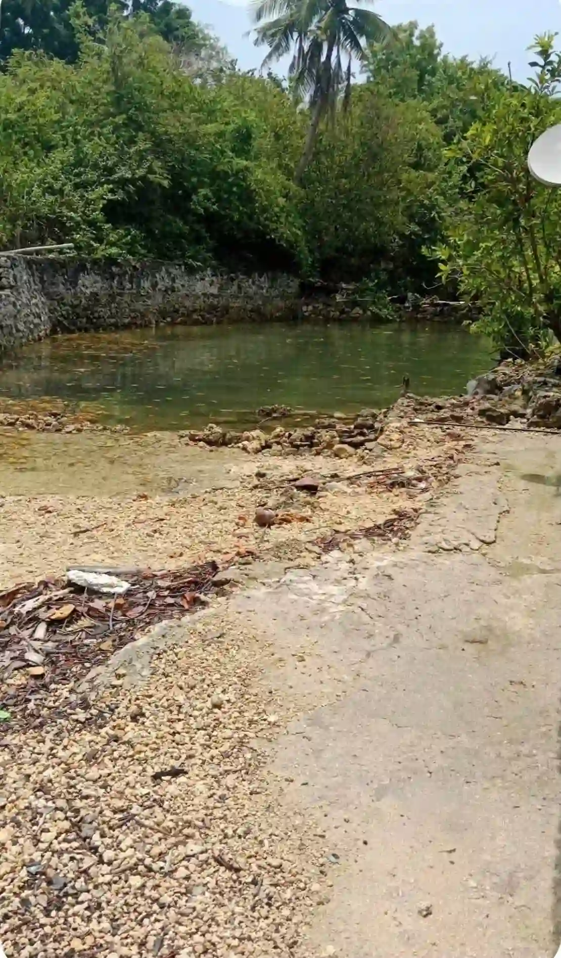 For Sale: Beach Lot in Bogo, Argao, Cebu — 4430 sqm — Beach Lot in Argao, Cebu, 6021 — Photo 3