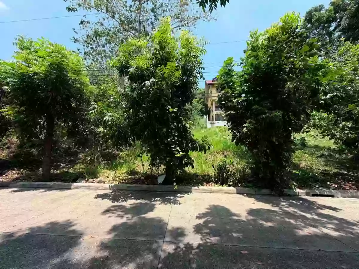 For Sale: Residential Lot in Balulang, Cagayan de Oro City — 337 sqm — Residential Lot in Masterson Avenue, Balulang, Cagayan de Oro City — Photo 3