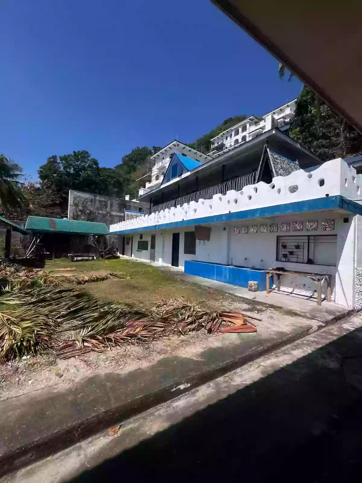For Sale: Beach Lot in San Teodoro, Mabini — 1482 sqm — Beach Lot in Mabini, Batangas, 4202 — Photo 3