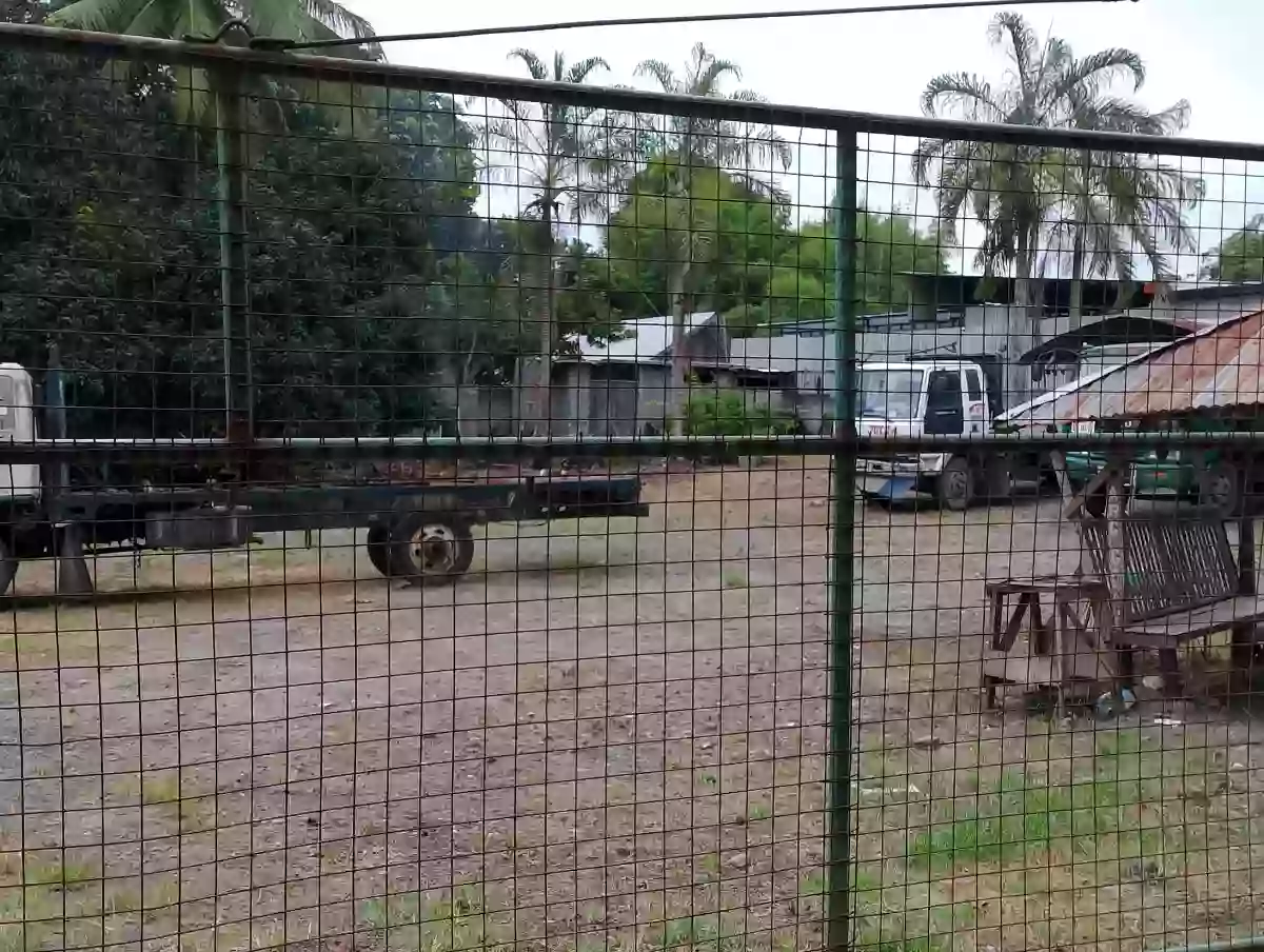 For sale: Cannery Site Building in Polomolok — business operations — Building in South Cotabato, 9504, Philippines — Photo 6
