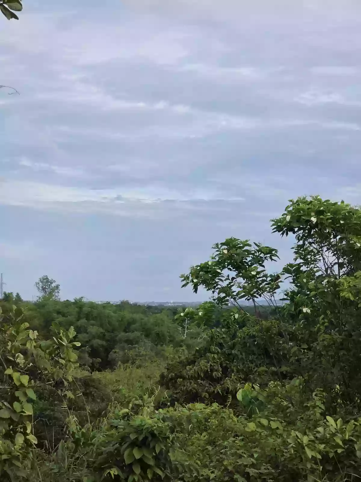 Own a place where nature's beauty becomes part of your everyday LIFE — Agricultural Lot in Irawan, Puerto Princesa City, Palawan — Photo 2