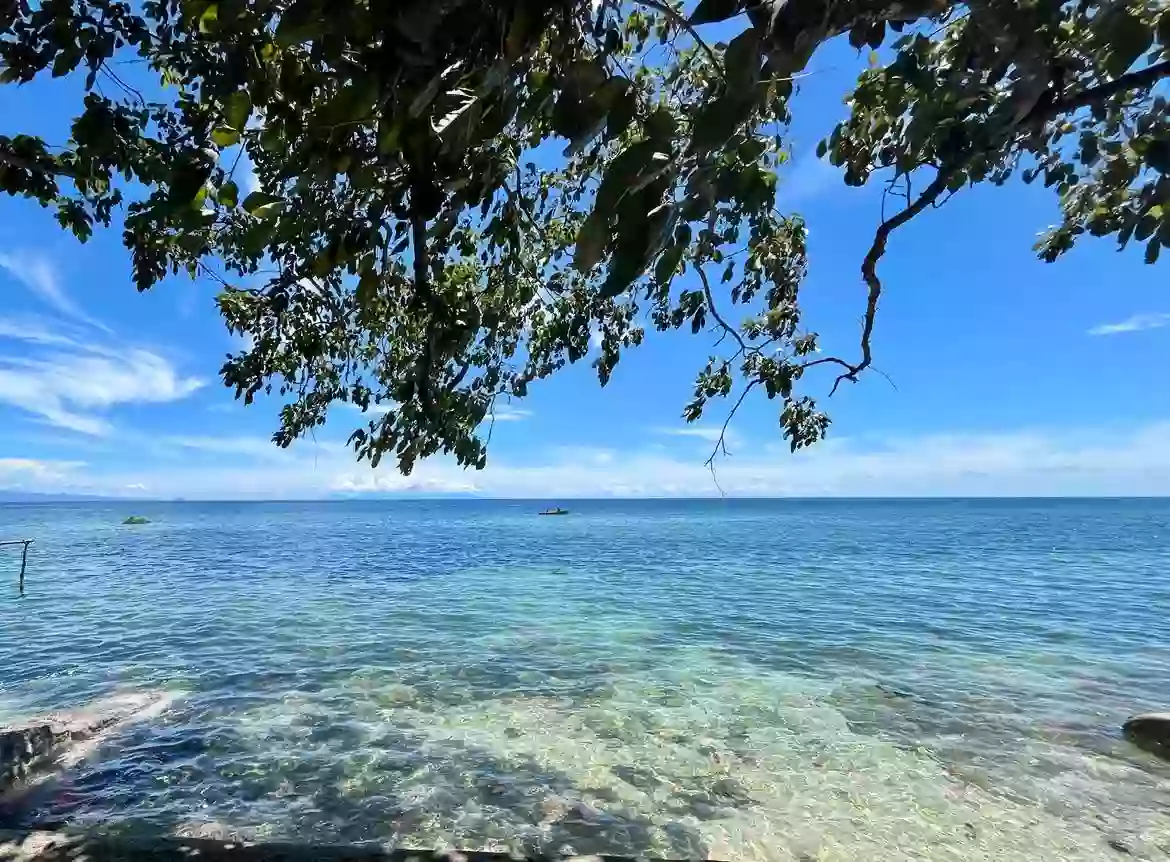 For Sale: Beach Lot in San Isidro, Magsaysay — 1,762 sqm — Beach Lot in Magsaysay, Misamis Oriental, 9015 — Photo 4