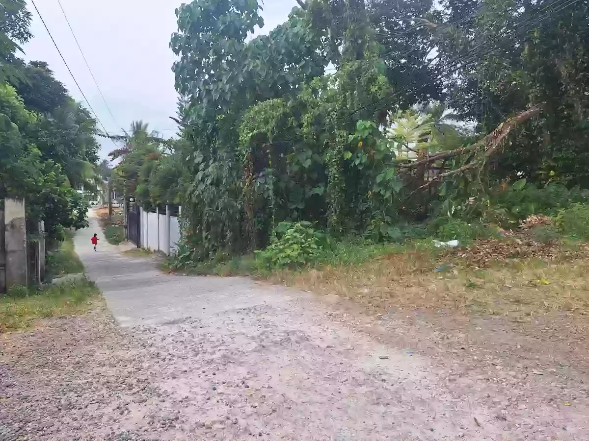 For Sale: Commercial Lot in Lanao, Kidapawan City — 949 sqm — Commercial Lot in Lanao, Kidapawan City, Cotabato — Photo 2