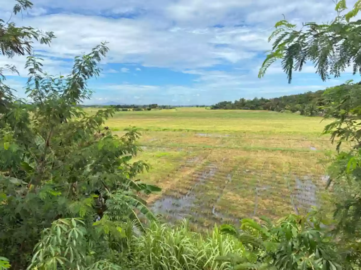 For Sale: Agricultural Lot in Tongantongan, Valencia, Bukidnon — 37000 sqm — Agricultural Lot in Valencia, Bukidnon, 8709 — Photo 6