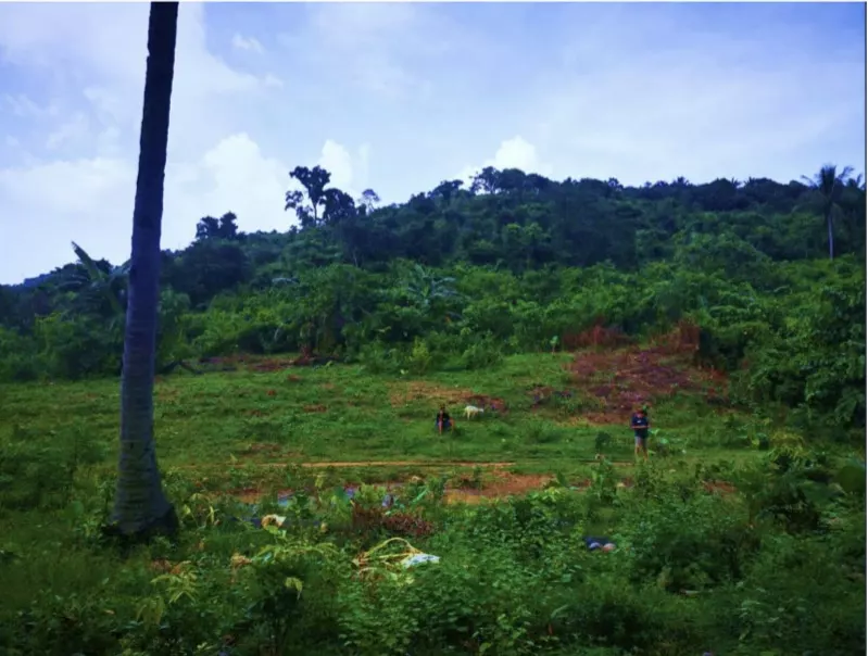 Beach Lot Property FOR SALE at PALAWAN 1.5 hectares Titled — Beach Lot in San Vicente, Palawan, 5309 — Photo 7