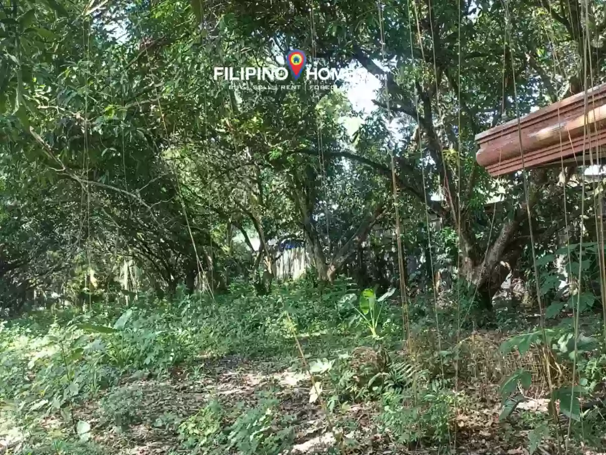 For Sale: 1711 sqm Agricultural Lot in Kiwanan, Midsayap — Agricultural Lot in Midsayap, Cotabato, 9410 — Photo 4