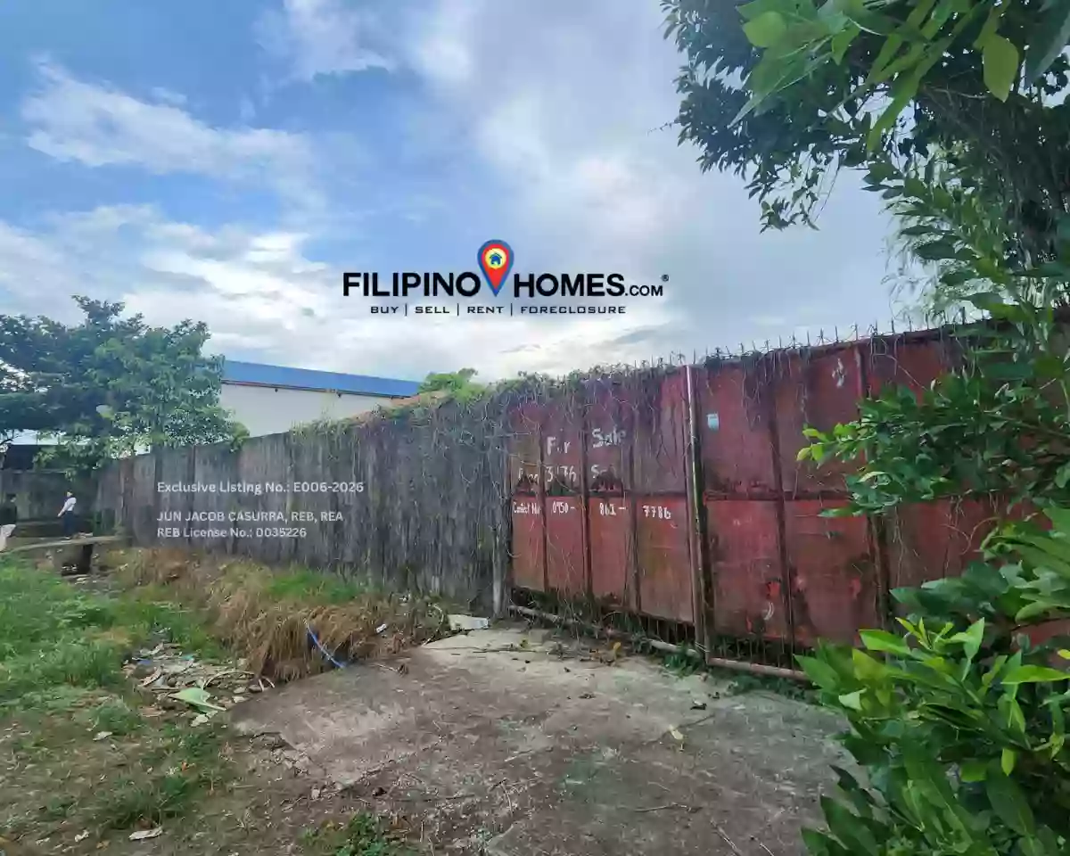 Lot For Sale in Togbongon, Surigao City — Investor Land — Agricultural Lot in Surigao City, Surigao del Norte, 8400 — Photo 3