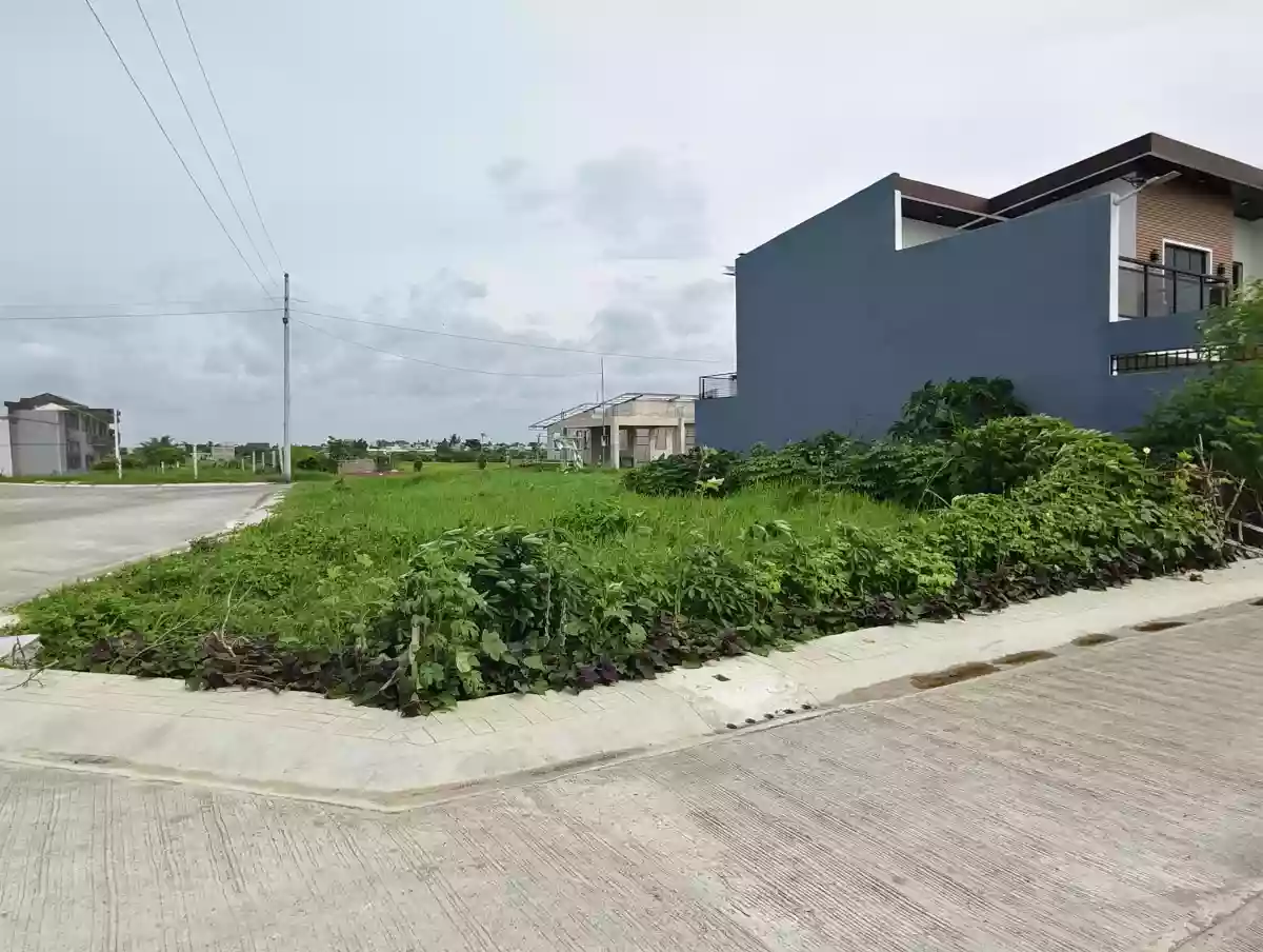 LOT FOR SALE — Residential Lot in Naga City, Camarines Sur, 4400 — Photo 5