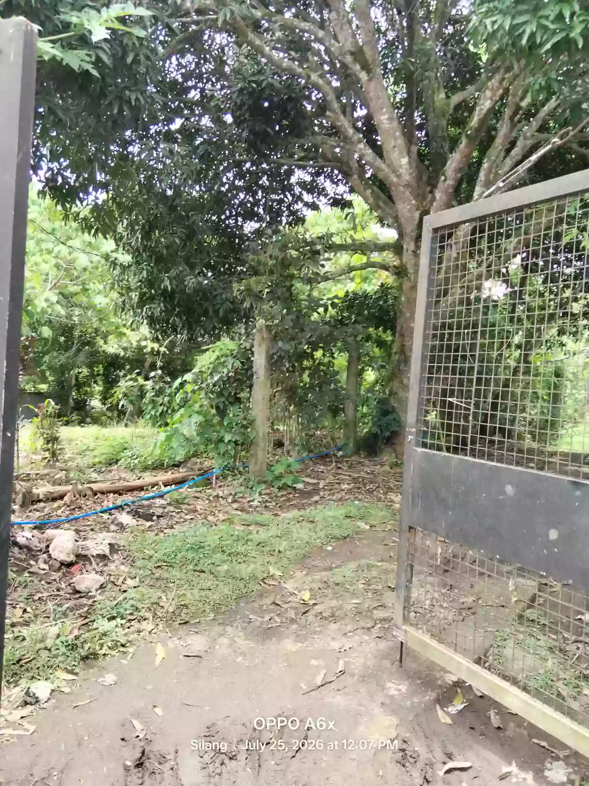 For Sale: Residential Lot in Balubad, Silang, Cavite — 45,000,000 sqm — Residential Lot in Silang, Cavite, 4118 — Photo 3