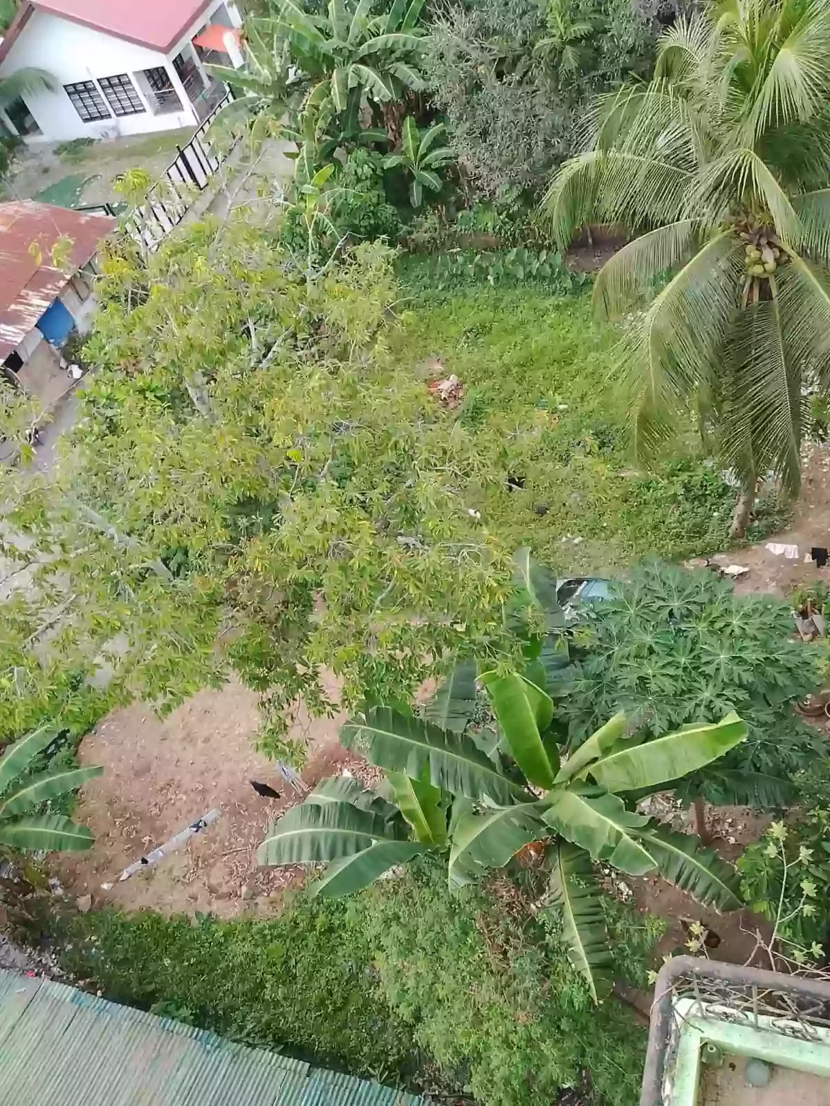 FOR SALE: 360 sqm Residential Lot Near National Highway, Davao City — Residential Lot in Buhangin (Pob.), Davao City, Davao del Sur — Photo 4