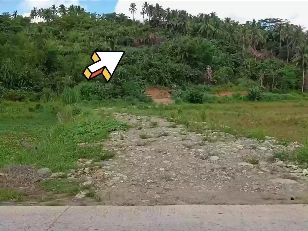 For Sale: Agricultural Lot in Serna, Surigao City — 12748 sqm