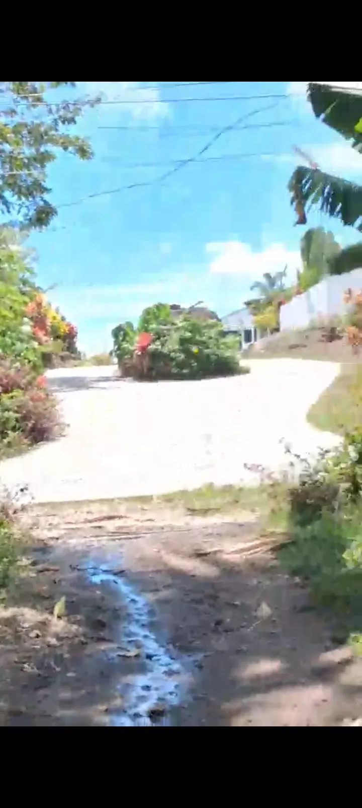 For Sale: Residential Lot in Poblacion II, Dauin, Negros Oriental — 4000 sqm — Residential Lot in Poblacion II, Dauin, Negros Oriental — Photo 5