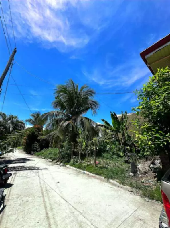 Residential Lot for Sale in (Sabang, Danao City) Subdivision Near Main Road and Entrance - photo 5