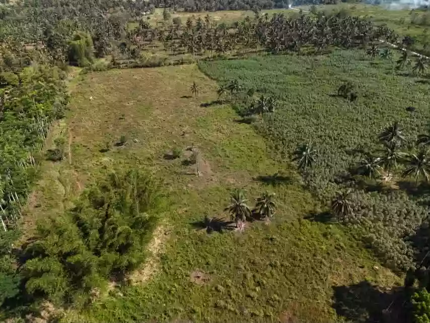 5 HECTARES OF OPPORTUNITY IN MAMBATANGAN — Residential Lot in Manolo Fortich, Bukidnon, 8703 — Photo 2