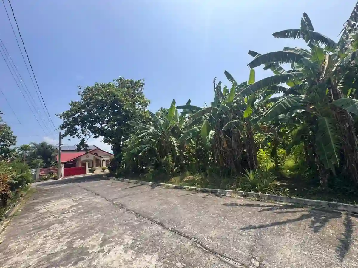 633 SQM Corner Lot For Sale at Executive Village, Carmela Valley Homes Subd. Talisay.. — Residential Lot in Zone 12 (Pob.), Talisay, Negros Occidental — Photo 2