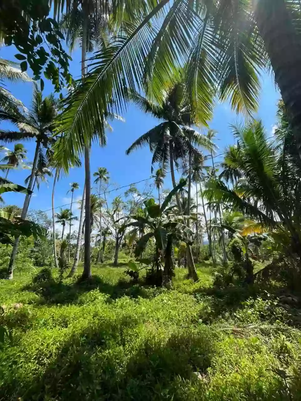 Beach Lot for Sale Near Salakit National High School, Kiamba — Ocean View — Beach Lot in Kiamba, Sarangani, 9514 — Photo 5