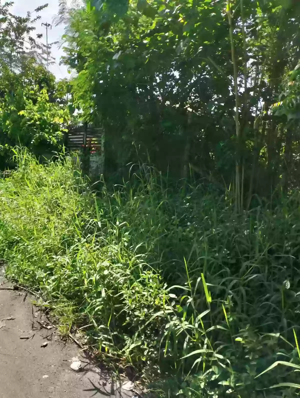 Vacant Lot For Sale — Residential Lot in General Santos City, South Cotabato, 9500 — Photo 5