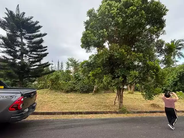 For Sale: Residential Lot in Calabuso, Tagaytay City — 1532 sqm — Residential Lot in Tagaytay City, Cavite, 4120 — Photo 6