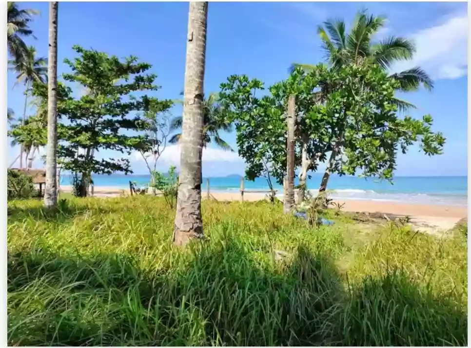 Rush Sale: Beach Lot Near Long Beach, San Vicente — Beachfront — Beach Lot in San Vicente, Palawan, 5309 — Photo 6