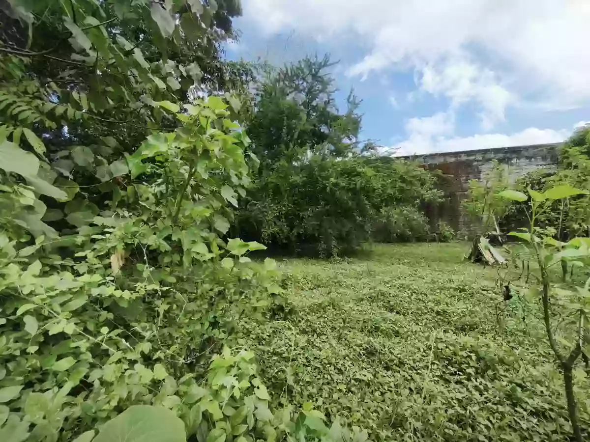 Residential lot for sale in Aganan, Pavia, Iloilo — Residential Lot in Pavia, Iloilo, Balabag — Photo 4