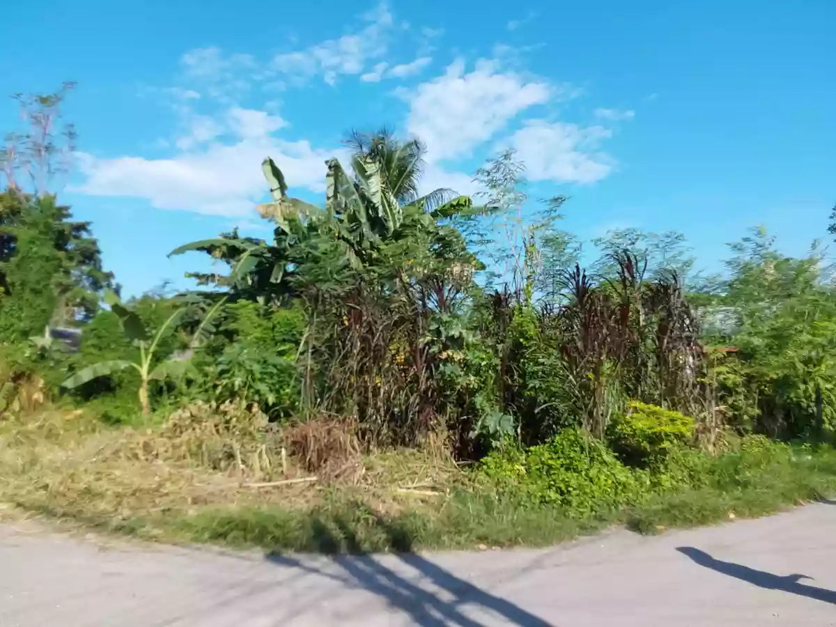 For Sale: Residential Lot in San Isidro, General Santos City — 300 sqm corner lot