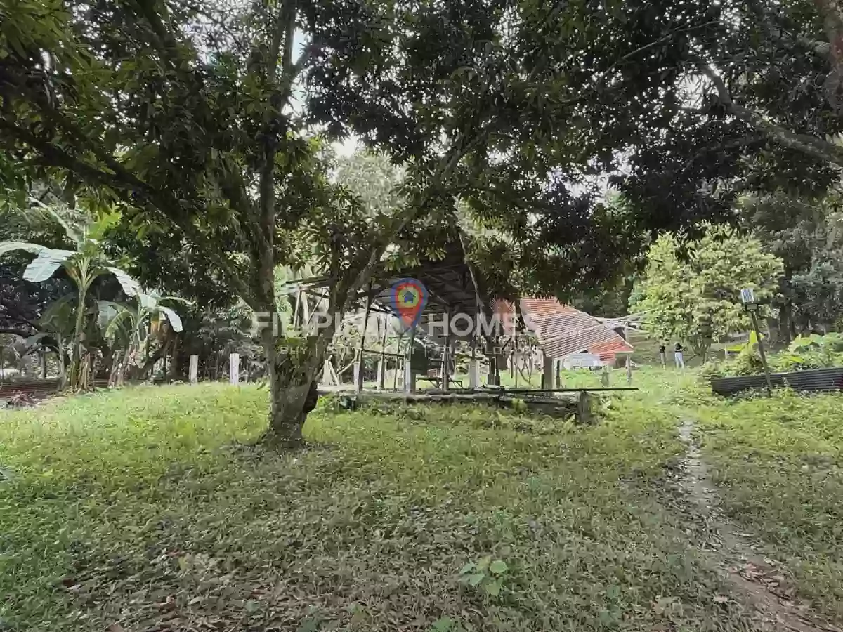 🌴 LOT FOR SALE in Kiwanan, Midsayap! 🏡✨ — Agricultural Lot in Midsayap, Cotabato, 9410 — Photo 4