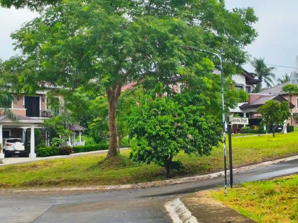 For Sale: Residential Lot in Banaba Lejos, Indang — 100 sqm — Residential Lot in Indang, Cavite, 4122 — Photo 5