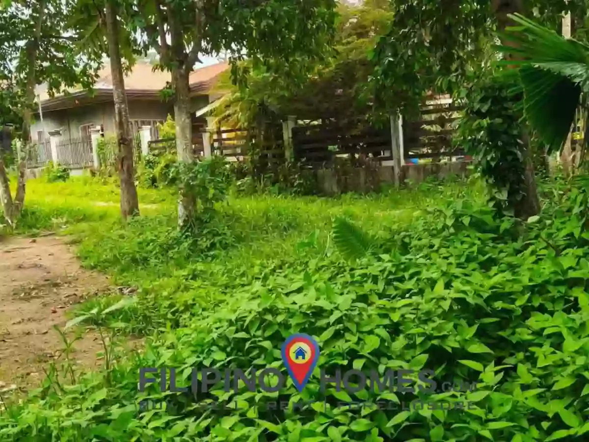 For Sale: Residential Lot in Lanao, Kidapawan City — 276 sqm — Residential Lot in Kidapawan City, Cotabato, 9400 — Photo 2