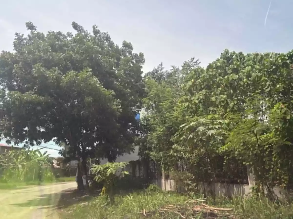 LOT FOR LEASE — Commercial Lot in Cagayan de Oro City, Misamis Oriental, 9000 — Photo 4